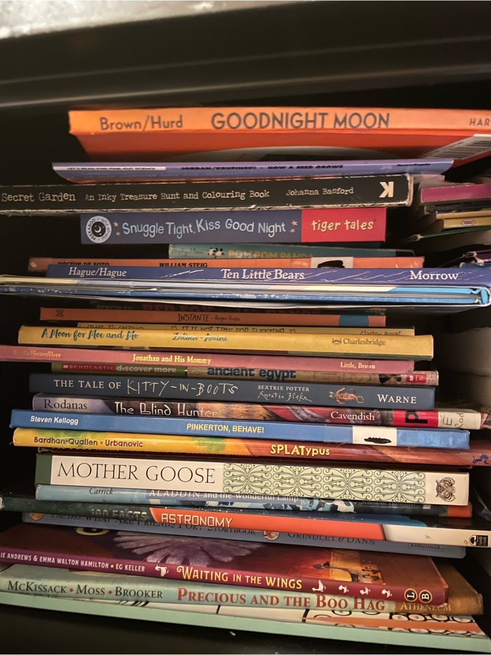 Stack of Colorful Children's Books - Goodnight Moon $15 Book Bundles or Less